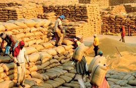 With P-PAS paddy payments are on time in Odisha