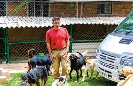 India’s Dog Father has saved close to 8000 dogs 