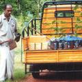 Jackfruit Evangelist