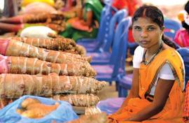 On the trail of giant tubers in South Kannada