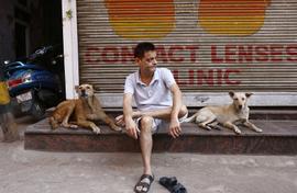 First serious dog count in India begins in Delhi