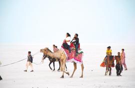 The many colours of the Rann and its Utsav