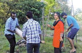 Cyclone Vardah and Chennai’s missing trees