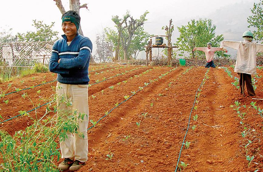 Gujarat's blueprint for farm sector