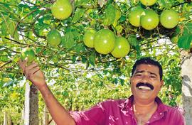 Kerala is crazy about passion fruit