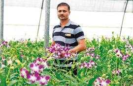 Orchid village: B’lore gets its supply from remote Cotigao ?