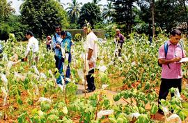 A wealth of rare seeds for farmers in Thrissur