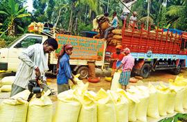 A neem factory on wheels! Fresh pesticide for farmers