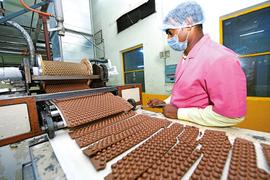 Campco's areca nut farmers turn to chocolate