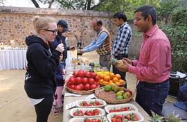 A nursery for a Sunday bazaar