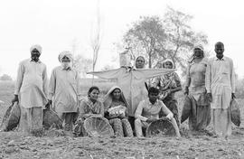 Being landless in Punjab