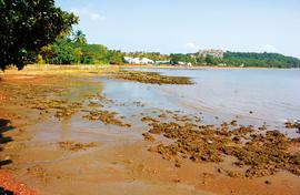 Marina becomes a Goan fishing village's nightmare