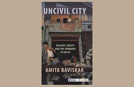 Uncivil Delhi: Cars, cows and rickshaws