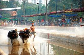 Kambala gets kinder and more popular