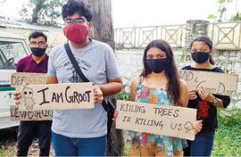 Tourists or trees? Doon picks trees