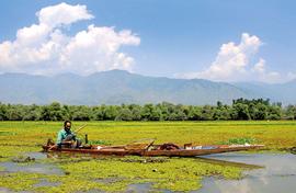 Wular Lake is choking with  sewage, filth 