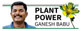 PLANT POWER APRIL