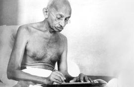 Gandhi on stray dogs, ahimsa and society