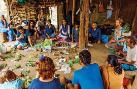 Eating from a forest: Vanvadi becomes a dream come true 