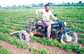 Honey bee buzz: Tractor from  a motorcycle and more