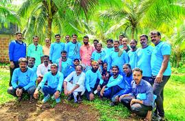 When jobs grow on coconut trees